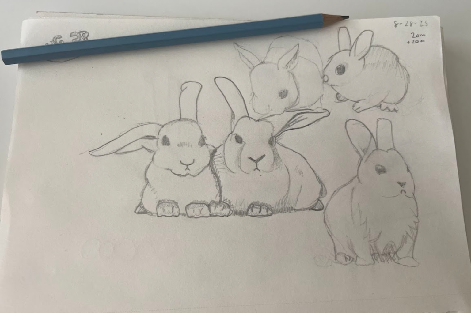 bunnies! a friend from volleyball suggested drawing one topic over and over for a session.